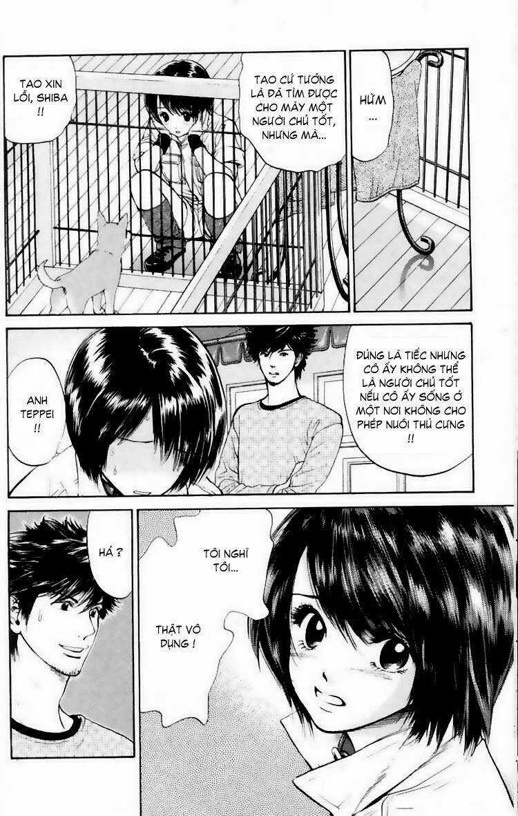 Cô Nàng Yêu Chó Chapter 17 trang 3