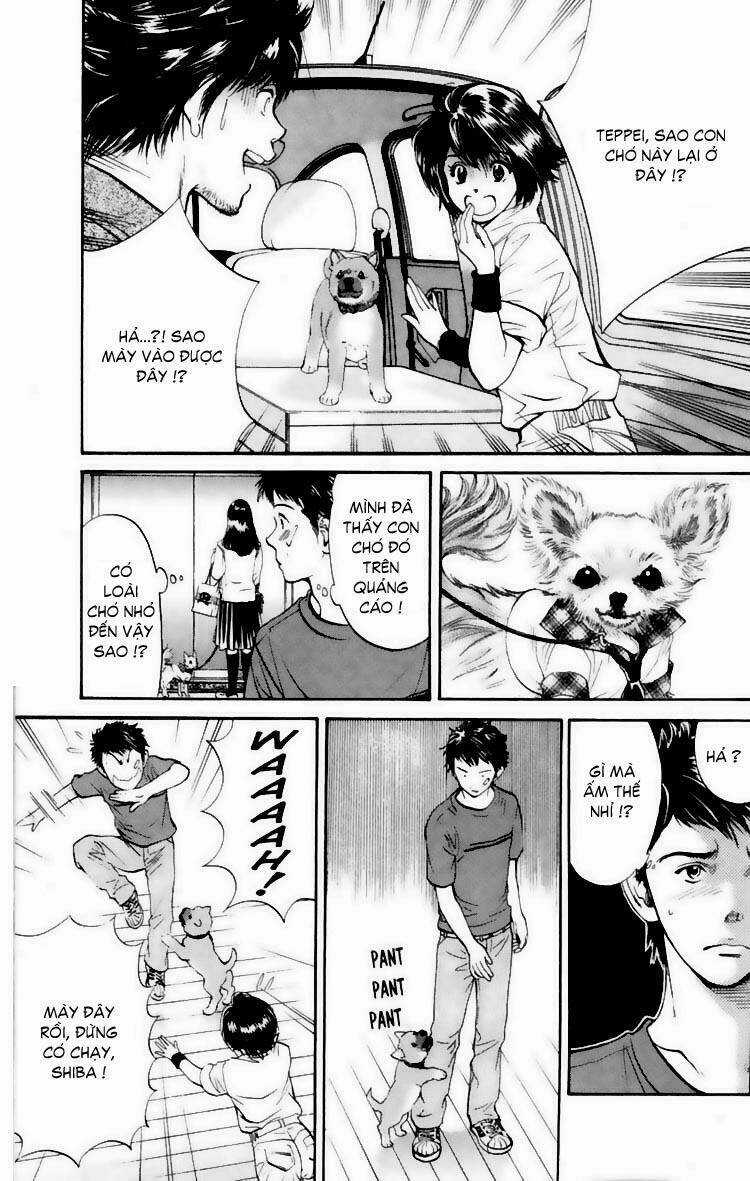 Cô Nàng Yêu Chó Chapter 19 trang 15