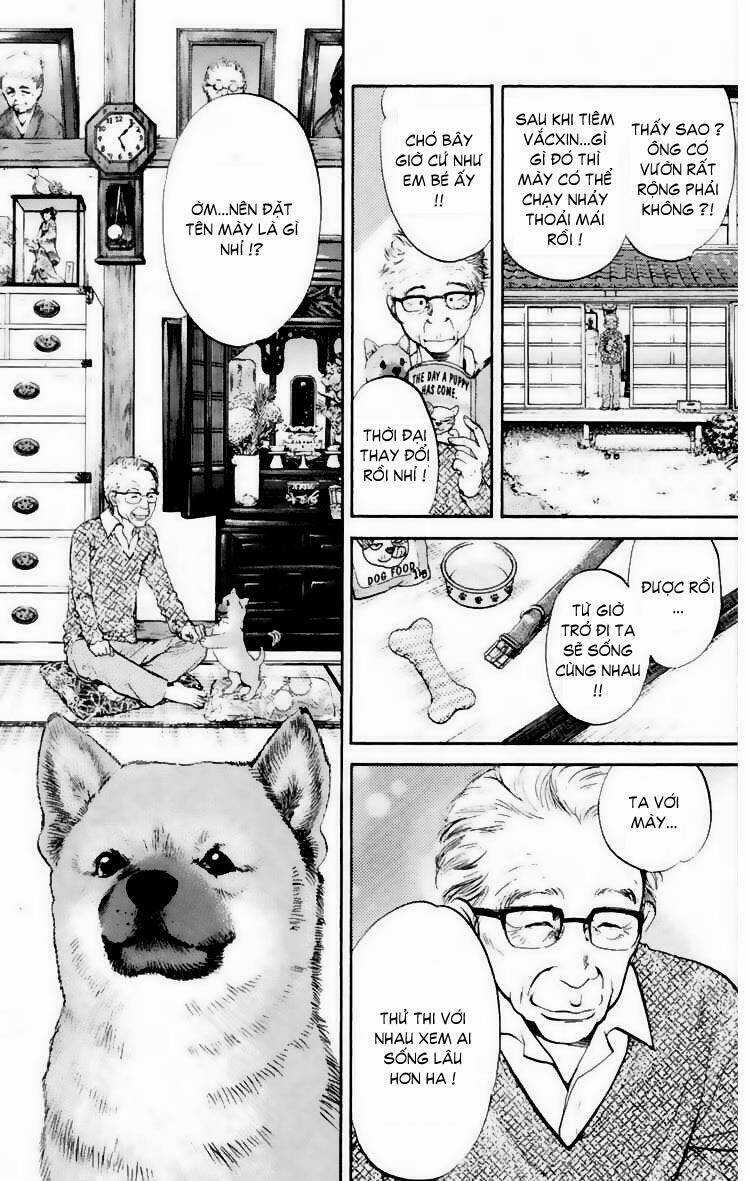 Cô Nàng Yêu Chó Chapter 19 trang 8