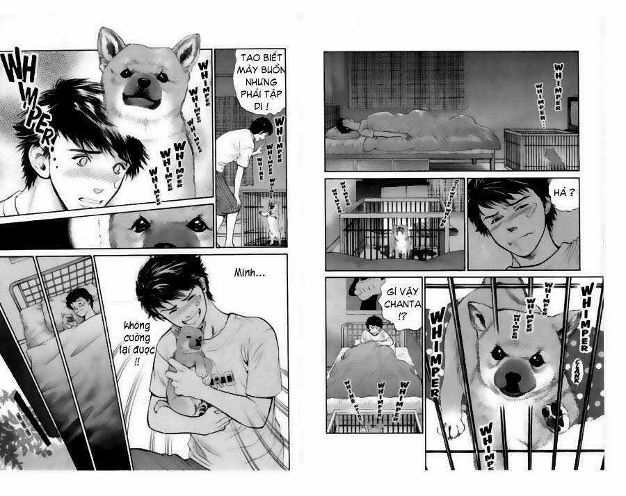 Cô Nàng Yêu Chó Chapter 20 trang 10