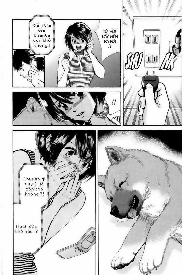 Cô Nàng Yêu Chó Chapter 21 trang 13