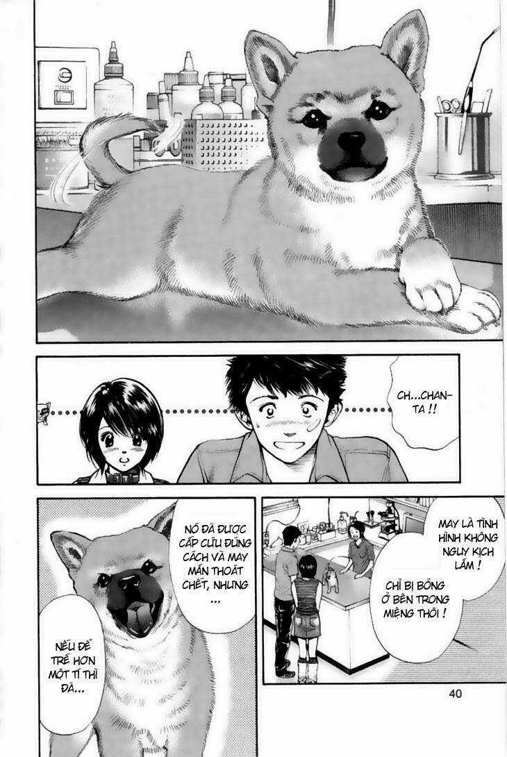 Cô Nàng Yêu Chó Chapter 21 trang 15