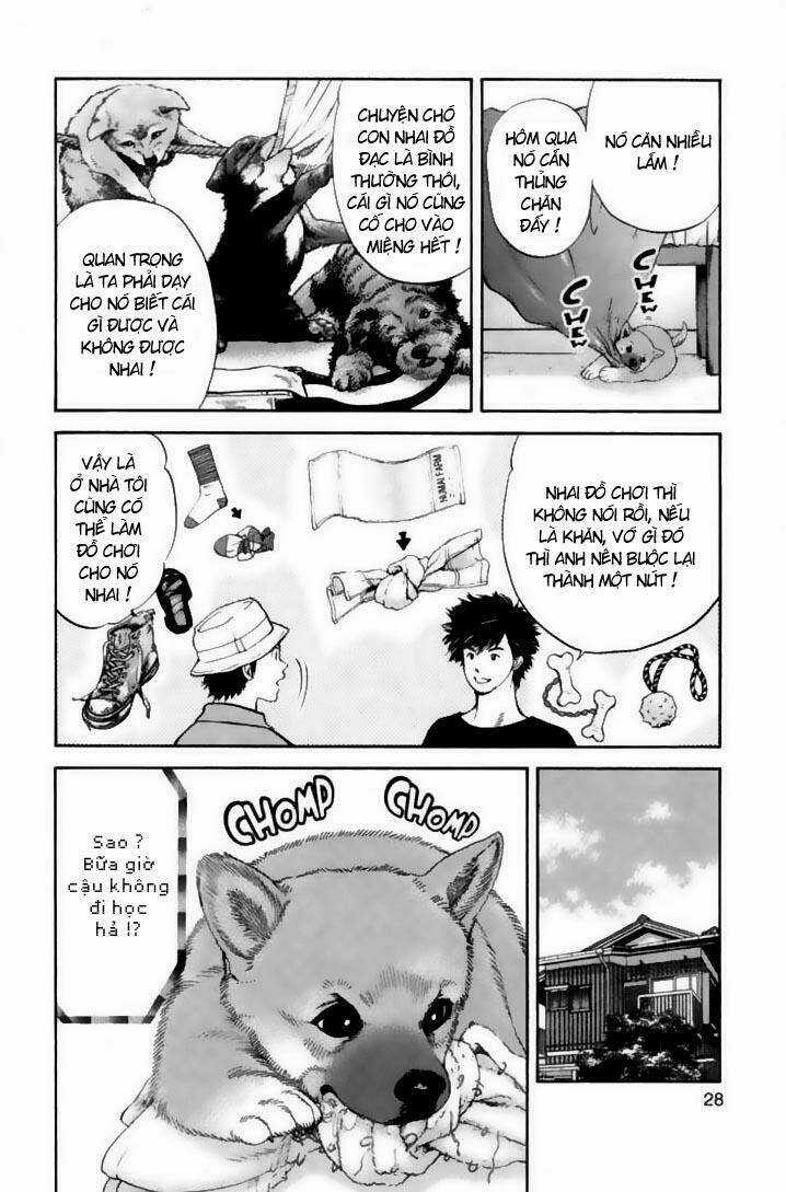 Cô Nàng Yêu Chó Chapter 21 trang 3