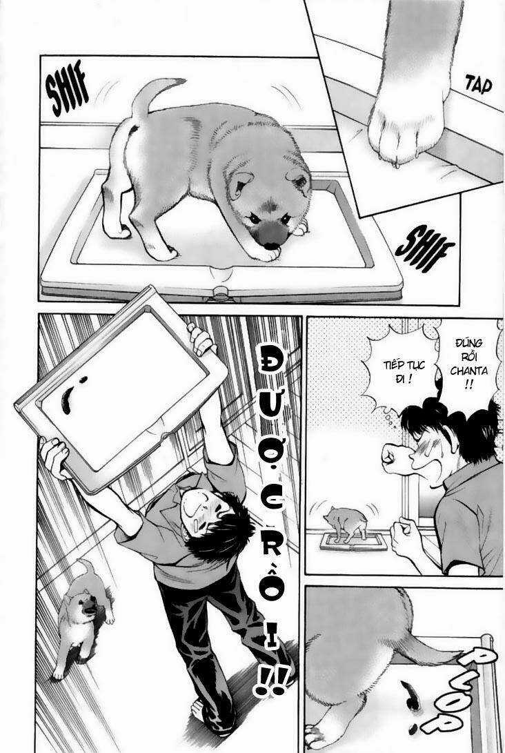 Cô Nàng Yêu Chó Chapter 21 trang 5