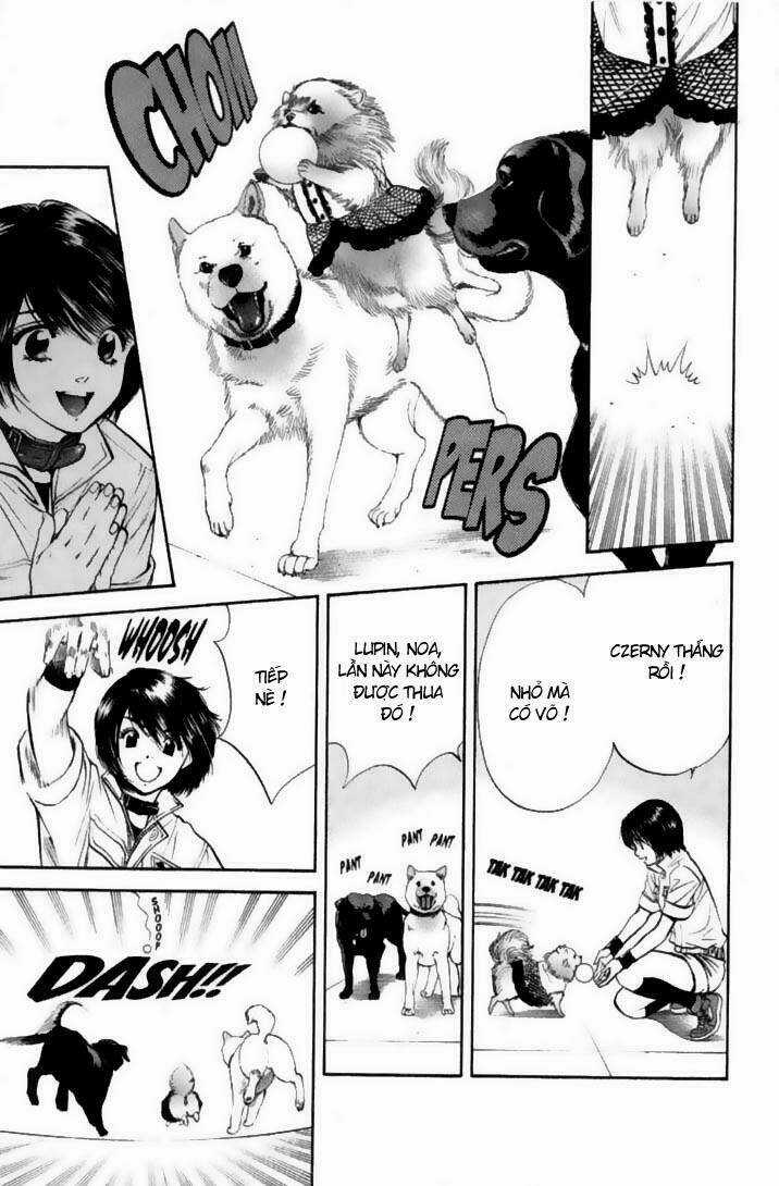 Cô Nàng Yêu Chó Chapter 22 trang 12