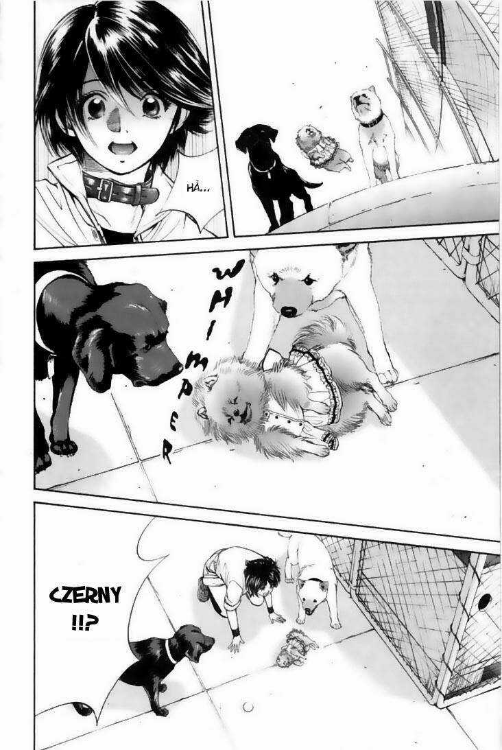 Cô Nàng Yêu Chó Chapter 22 trang 17