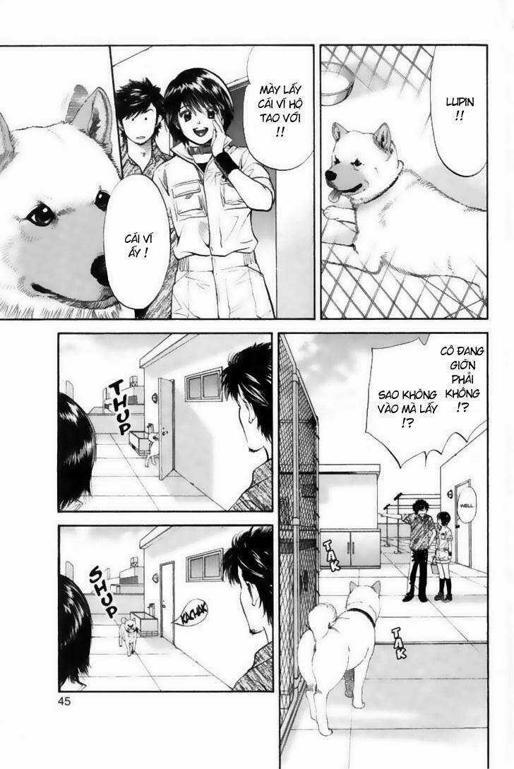 Cô Nàng Yêu Chó Chapter 22 trang 2