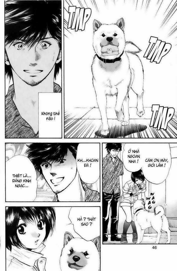 Cô Nàng Yêu Chó Chapter 22 trang 3