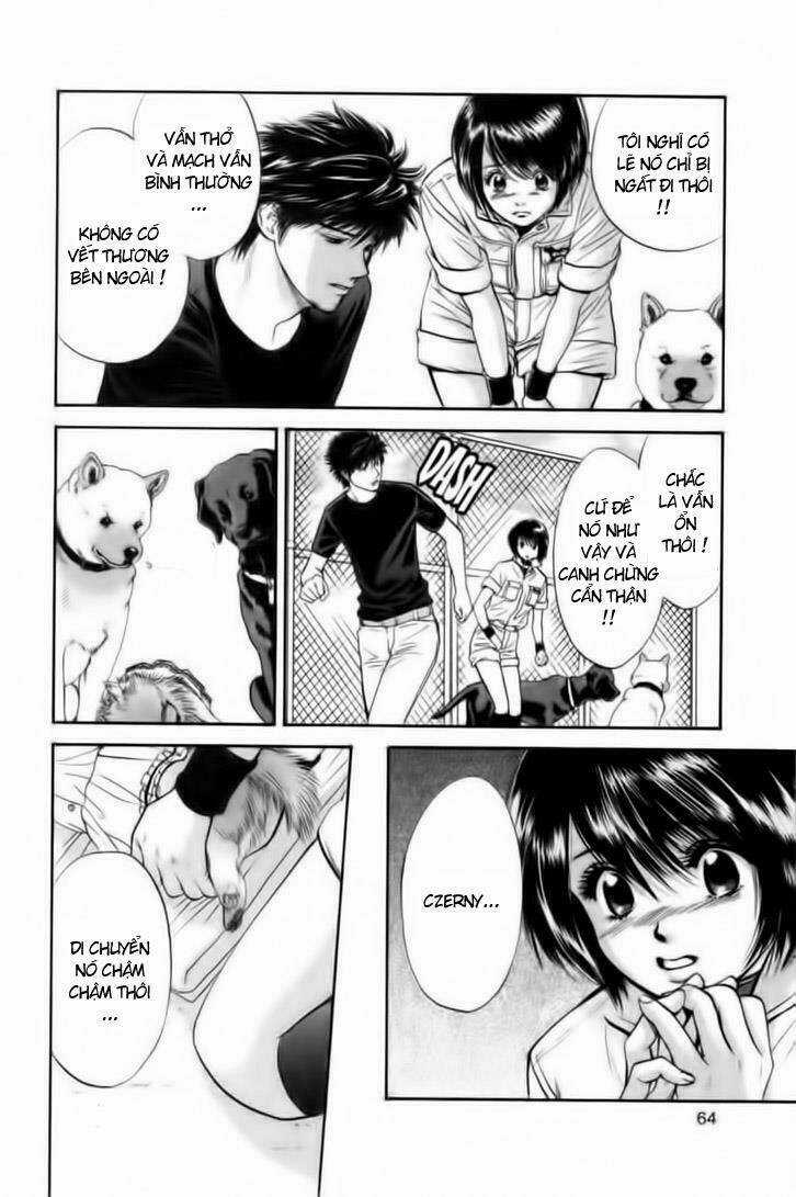 Cô Nàng Yêu Chó Chapter 23 trang 2