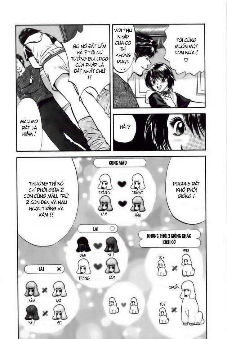 Cô Nàng Yêu Chó Chapter 24 trang 3