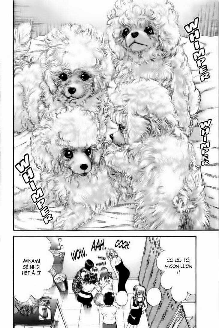 Cô Nàng Yêu Chó Chapter 25 trang 11