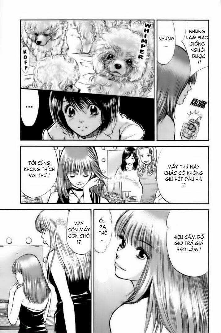 Cô Nàng Yêu Chó Chapter 25 trang 14