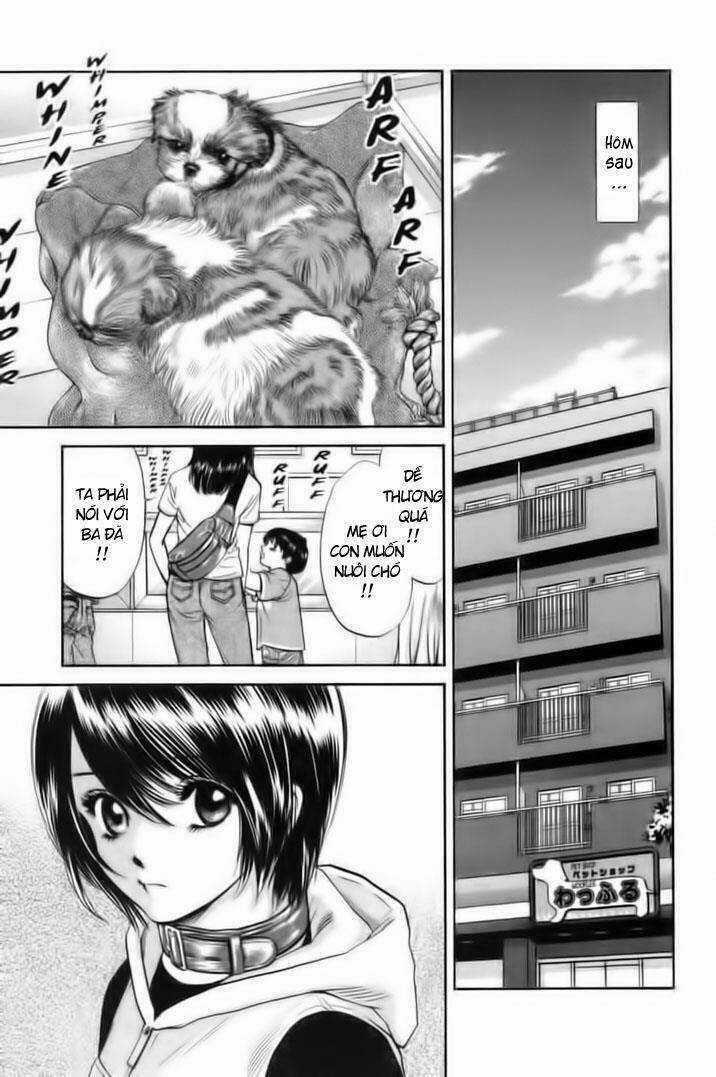 Cô Nàng Yêu Chó Chapter 26 trang 10