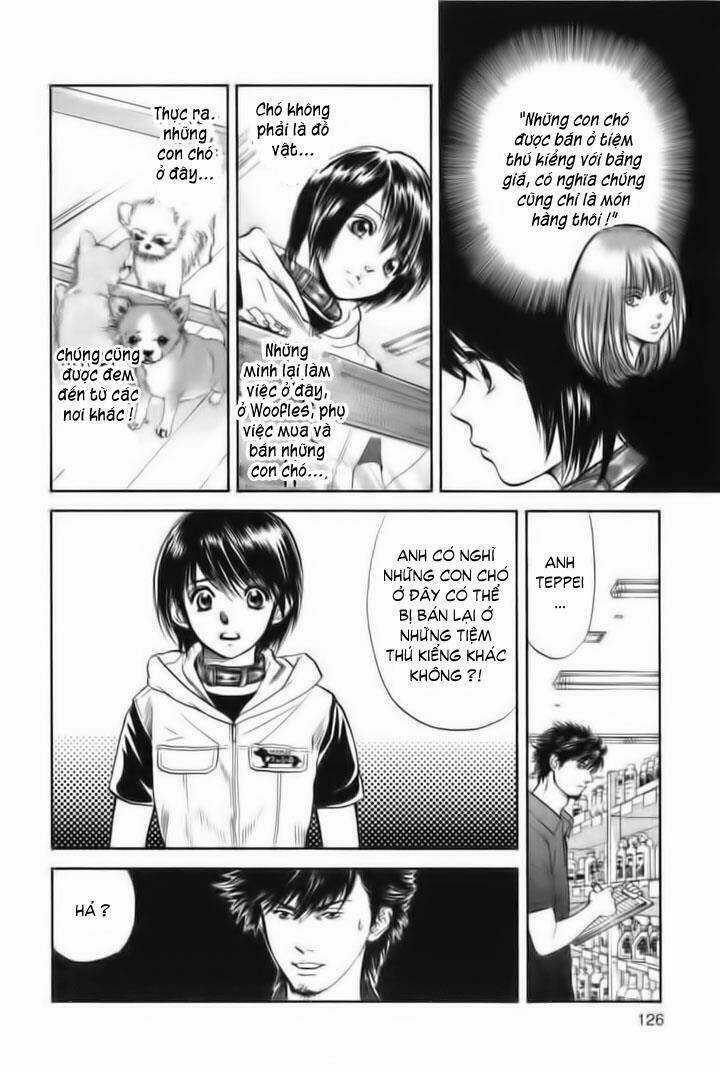 Cô Nàng Yêu Chó Chapter 26 trang 11