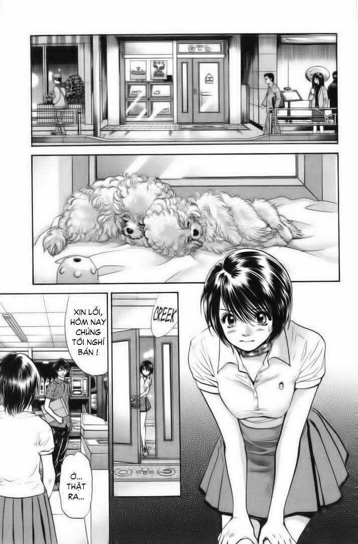 Cô Nàng Yêu Chó Chapter 26 trang 16