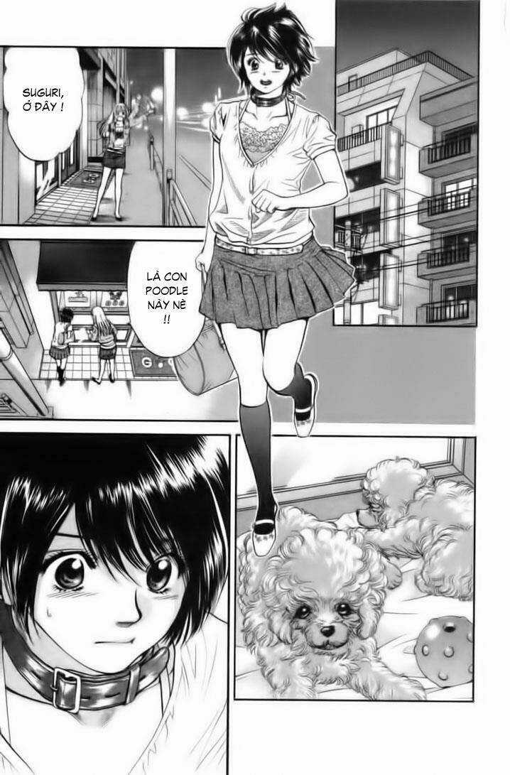 Cô Nàng Yêu Chó Chapter 26 trang 2