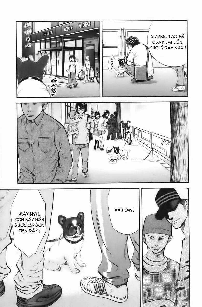 Cô Nàng Yêu Chó Chapter 28 trang 12