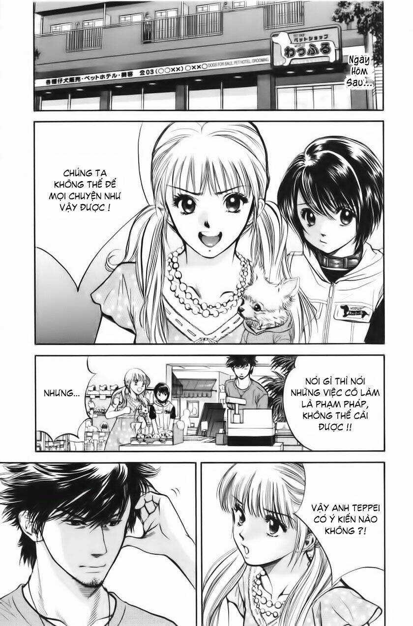 Cô Nàng Yêu Chó Chapter 28 trang 4