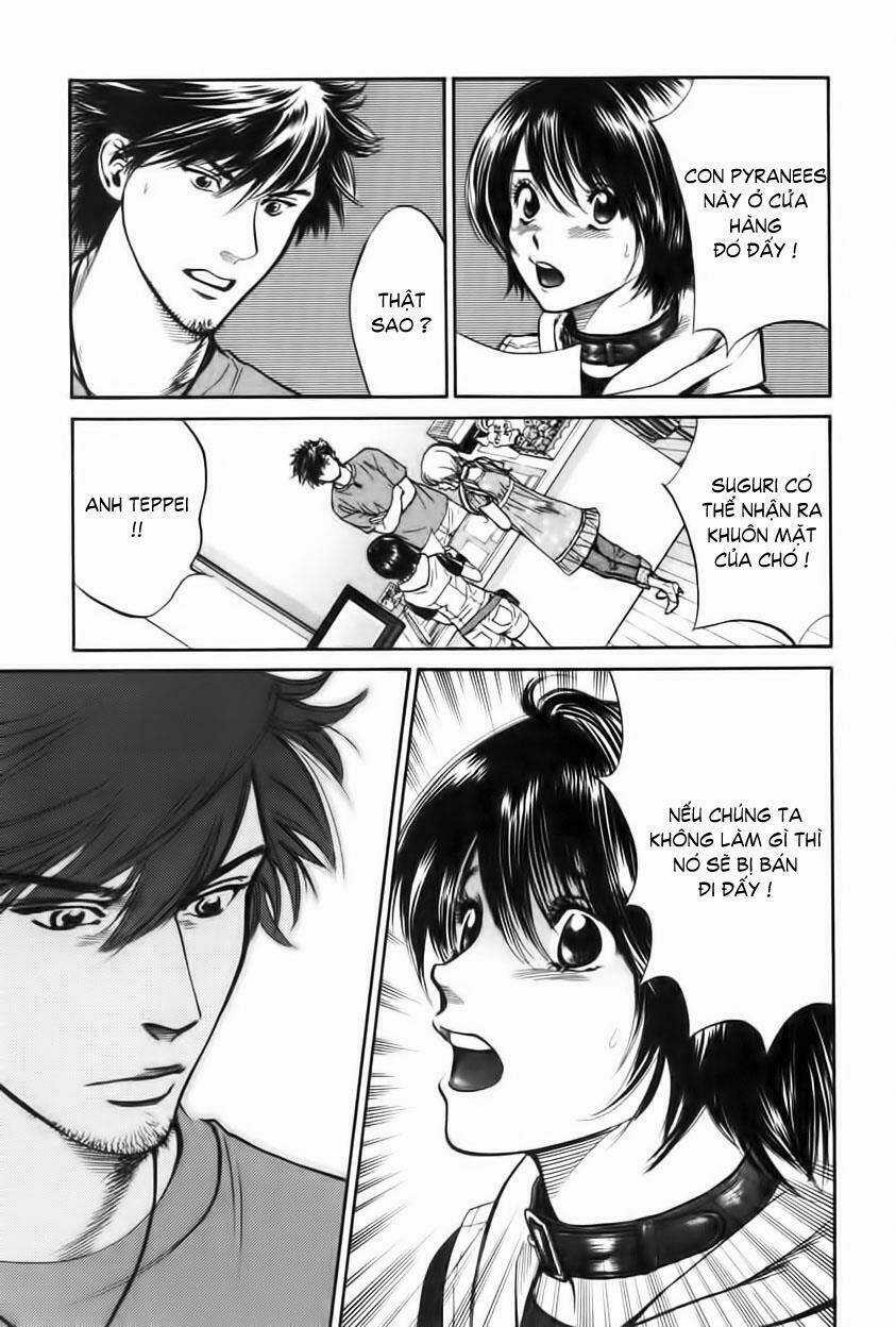 Cô Nàng Yêu Chó Chapter 28 trang 6