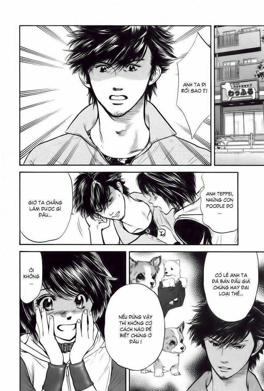 Cô Nàng Yêu Chó Chapter 29 trang 13