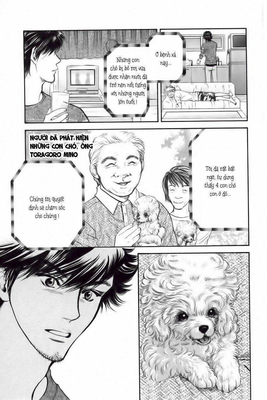 Cô Nàng Yêu Chó Chapter 29 trang 16