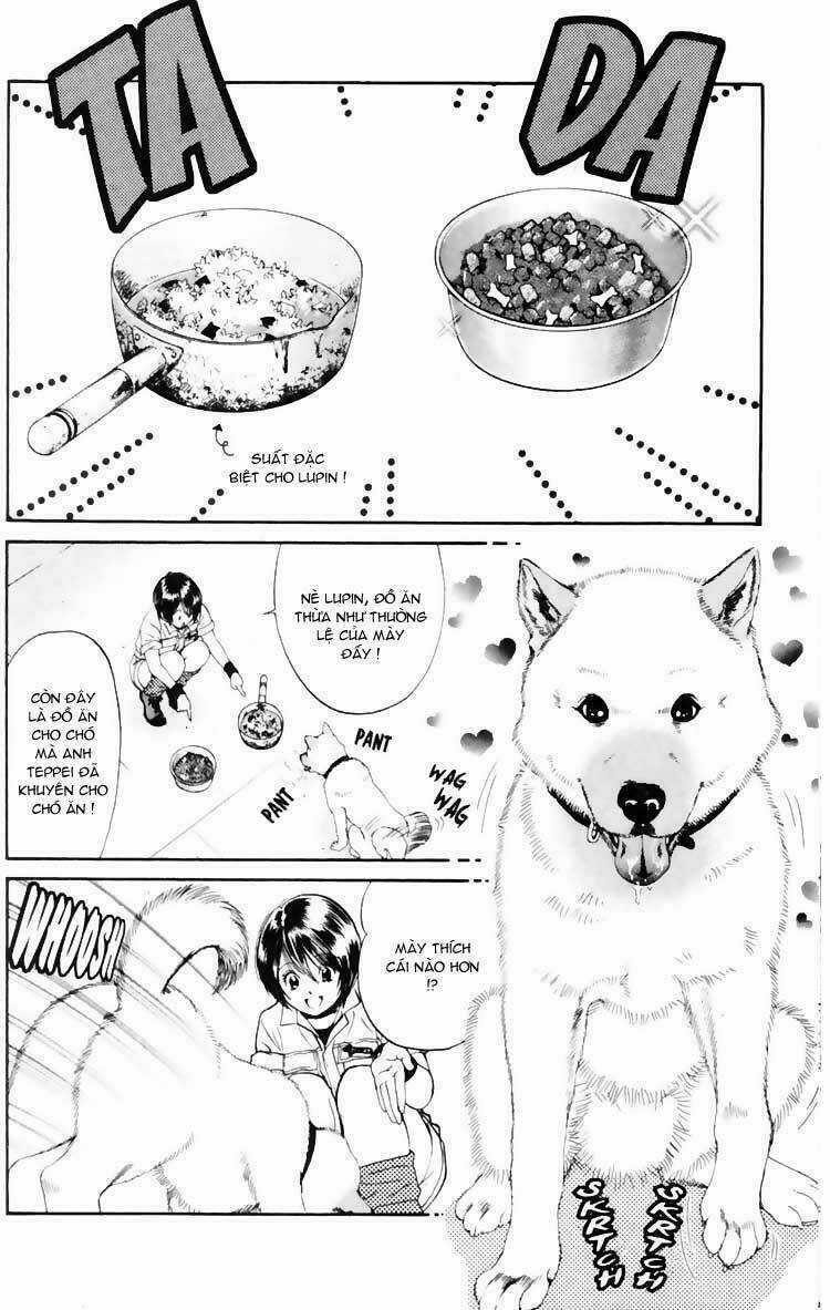 Cô Nàng Yêu Chó Chapter 3 trang 11