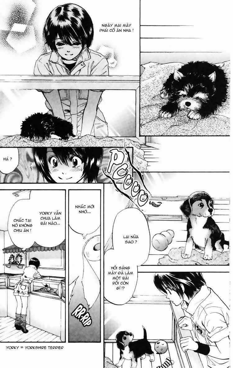 Cô Nàng Yêu Chó Chapter 3 trang 13