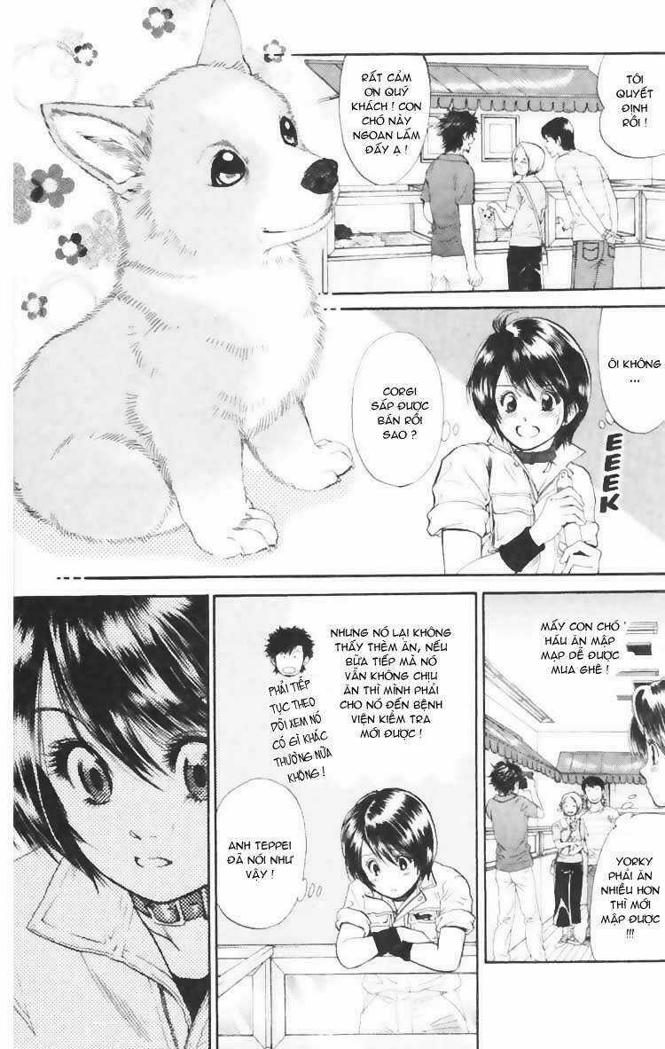 Cô Nàng Yêu Chó Chapter 3 trang 16