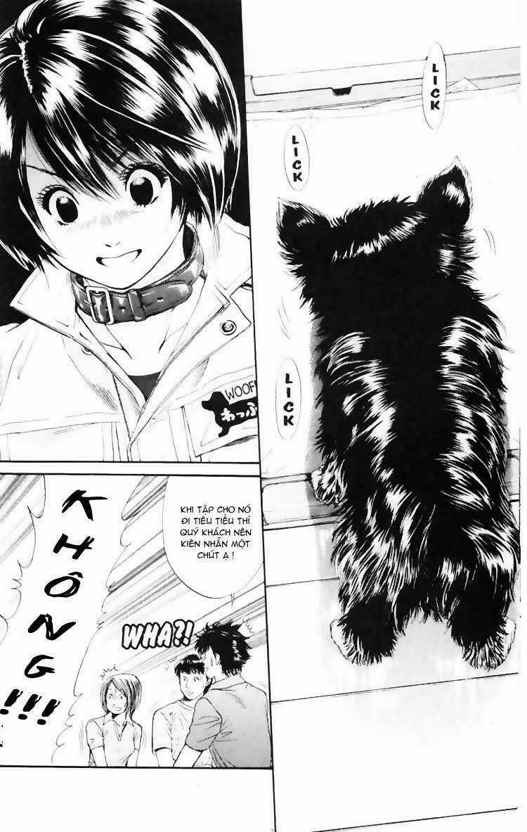 Cô Nàng Yêu Chó Chapter 3 trang 17