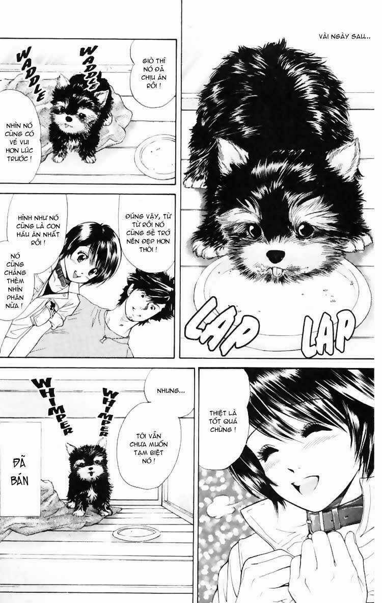 Cô Nàng Yêu Chó Chapter 3 trang 23
