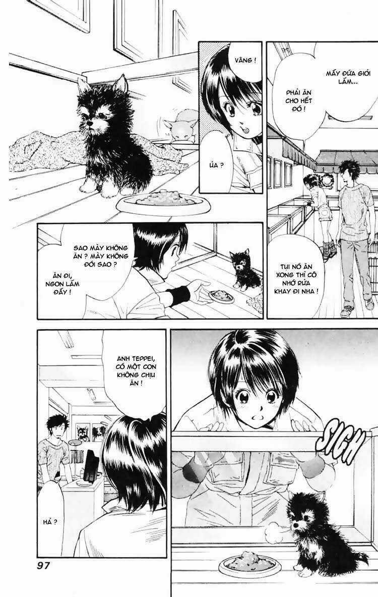 Cô Nàng Yêu Chó Chapter 3 trang 8