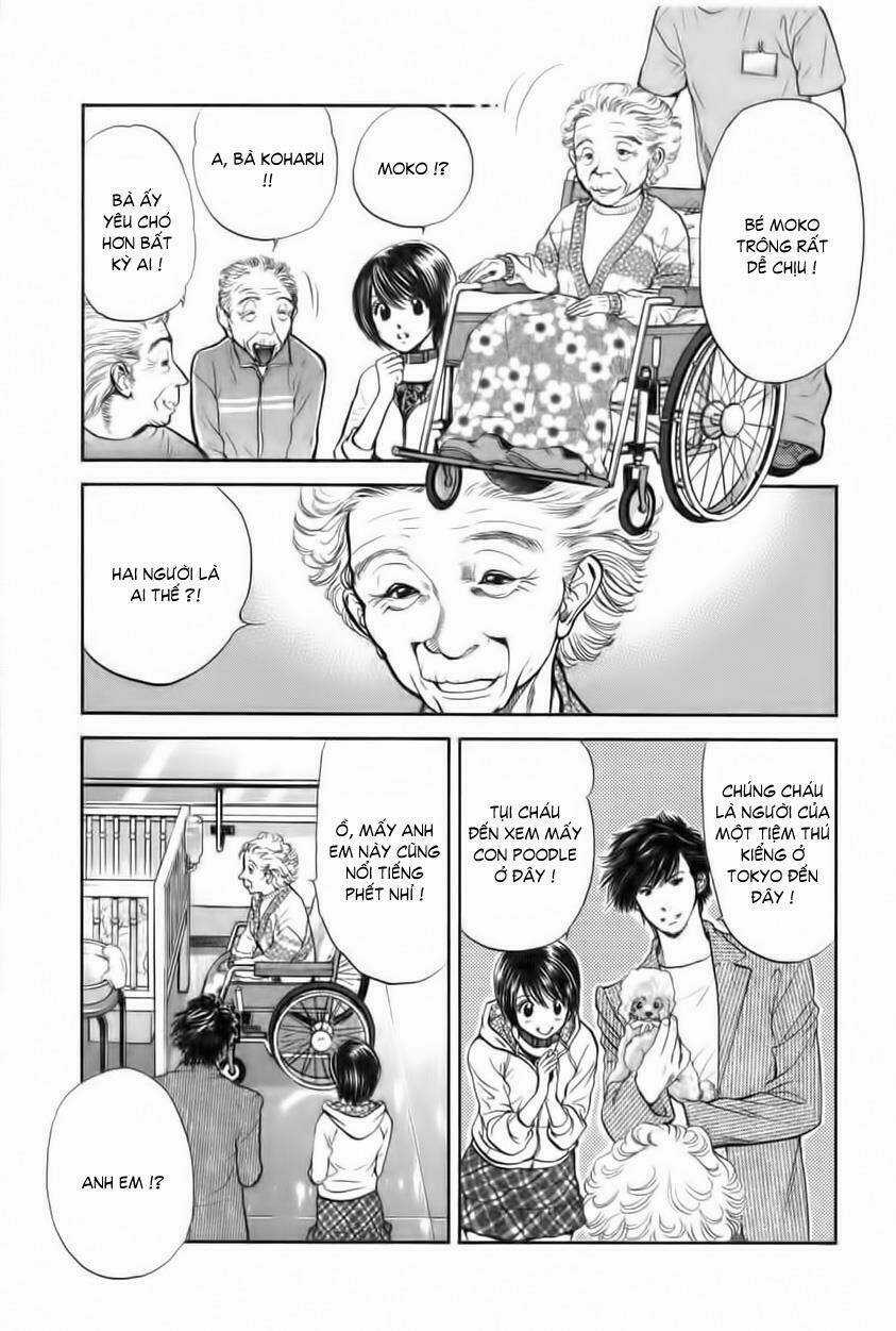 Cô Nàng Yêu Chó Chapter 30 trang 9