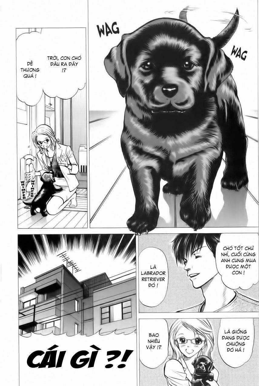 Cô Nàng Yêu Chó Chapter 31 trang 14