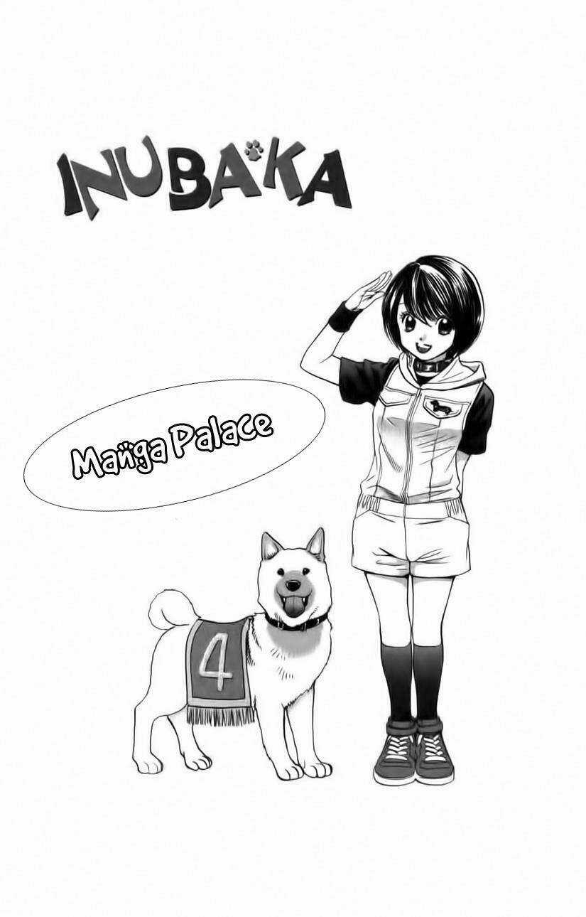 Cô Nàng Yêu Chó Chapter 31 trang 2