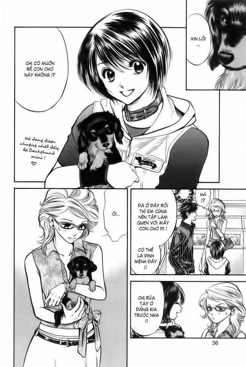 Cô Nàng Yêu Chó Chapter 32 trang 11