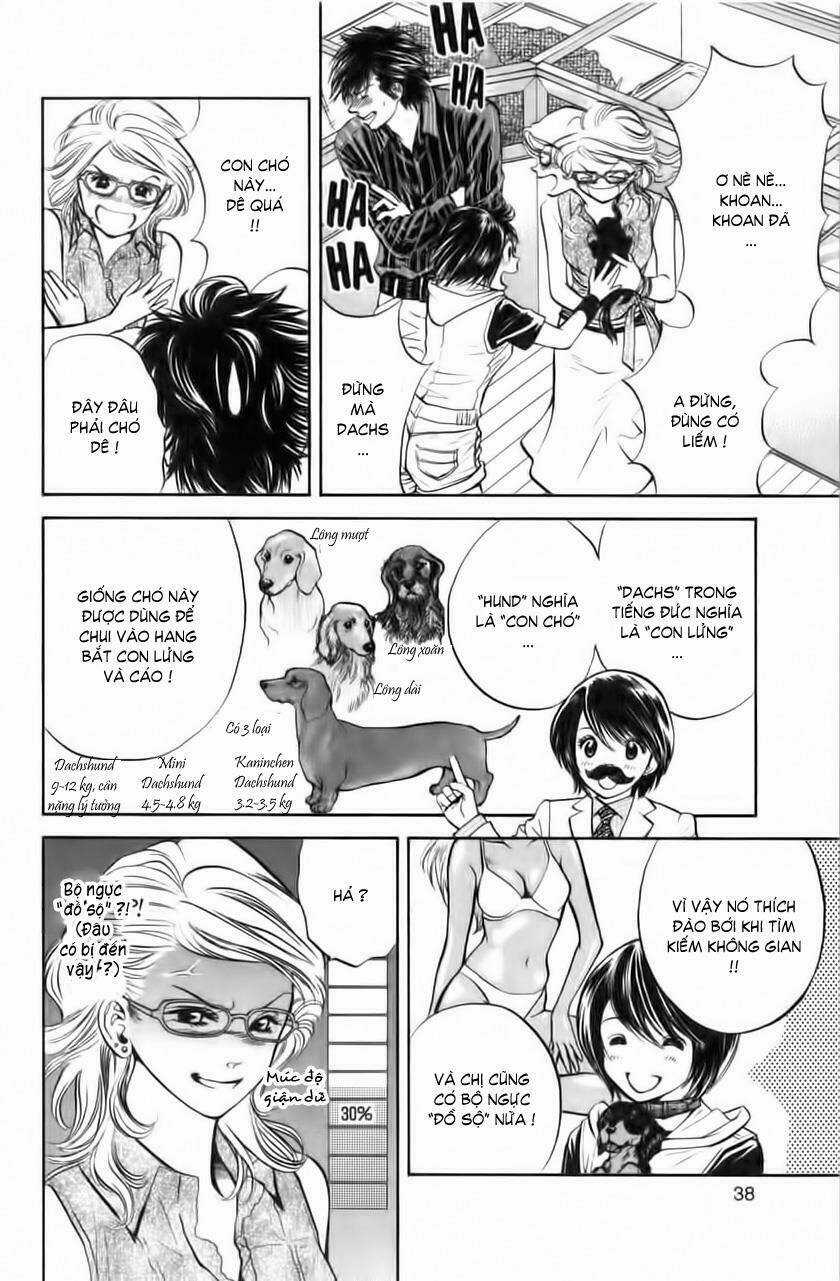 Cô Nàng Yêu Chó Chapter 32 trang 13