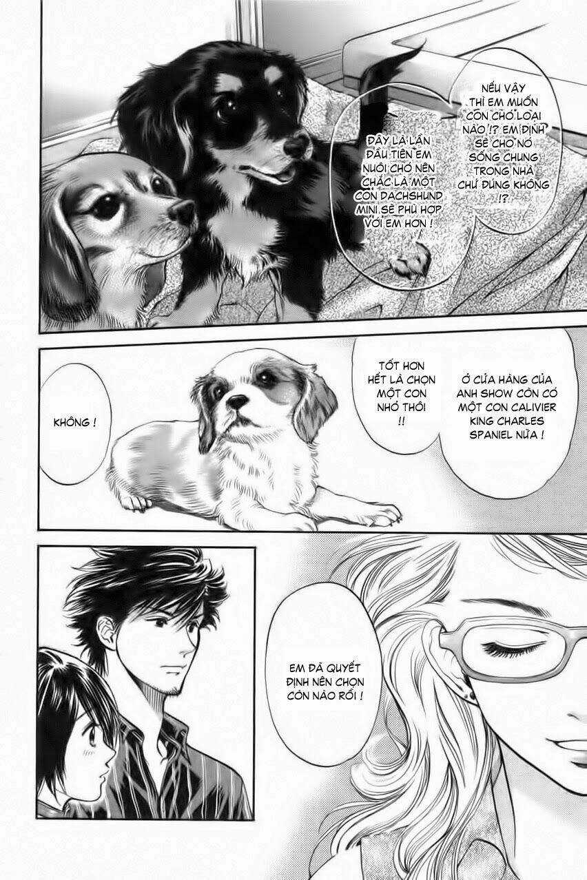 Cô Nàng Yêu Chó Chapter 33 trang 3