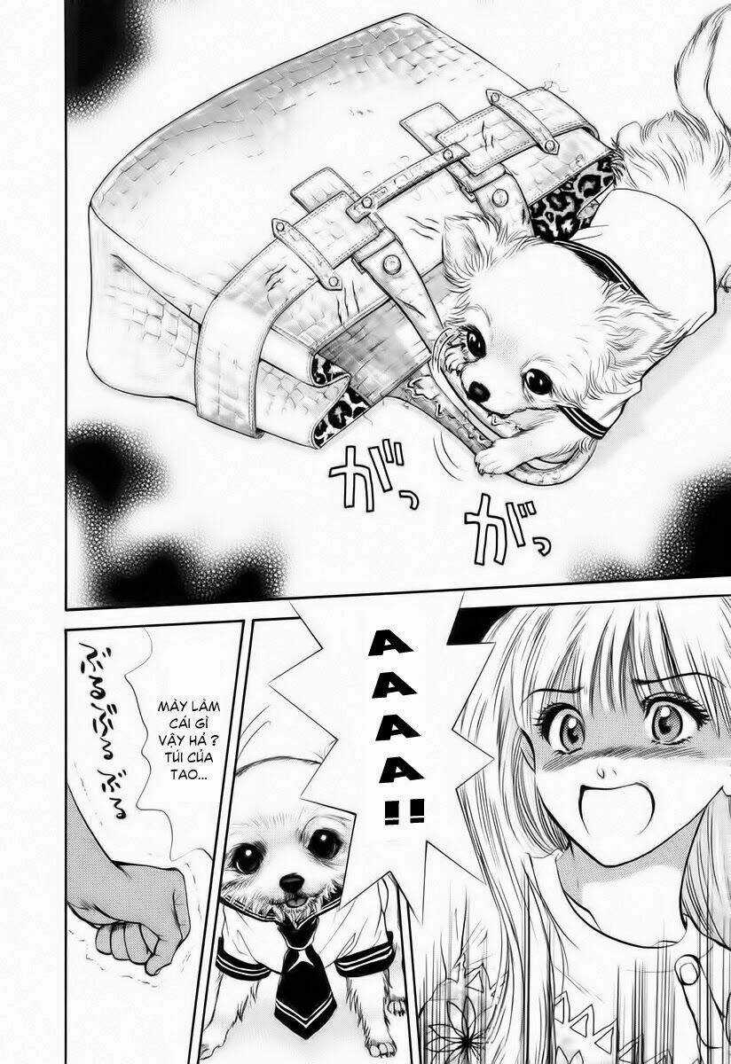 Cô Nàng Yêu Chó Chapter 34 trang 10