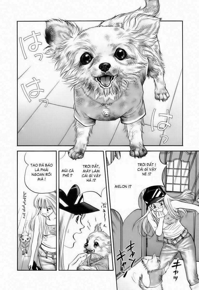 Cô Nàng Yêu Chó Chapter 34 trang 4
