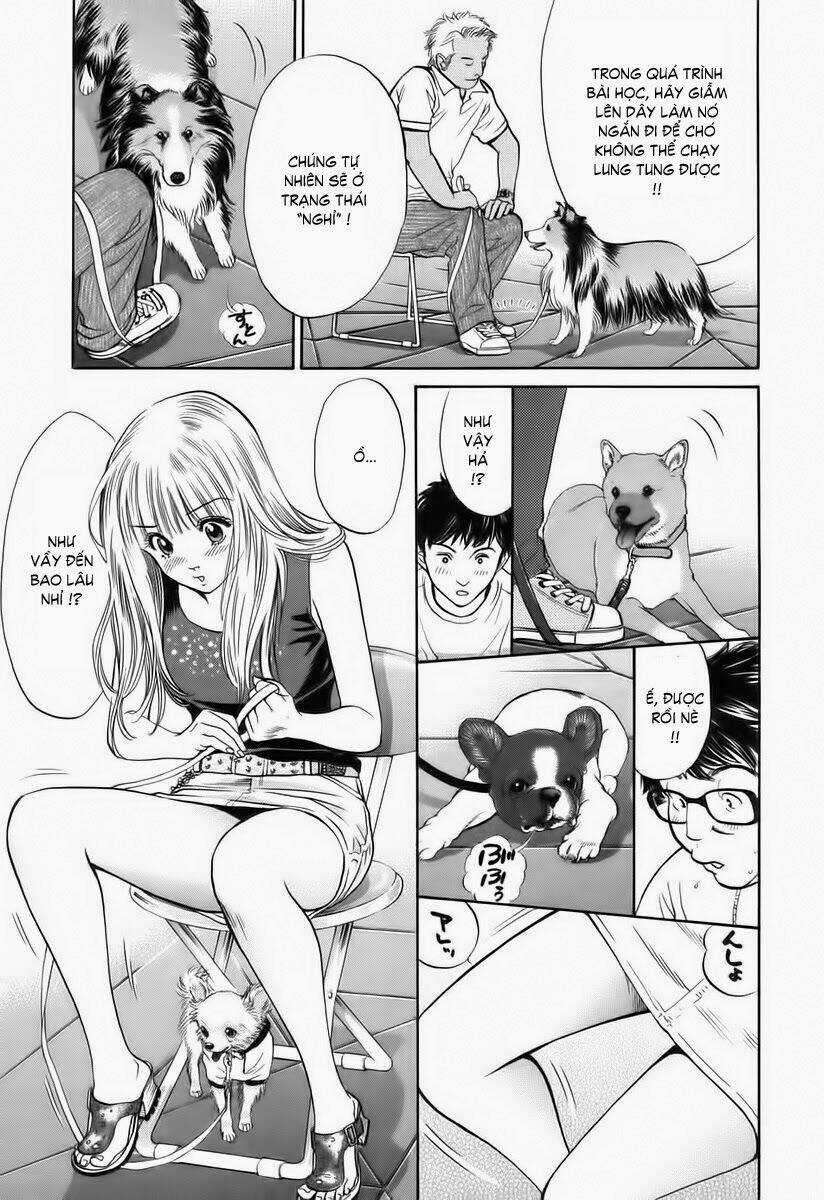 Cô Nàng Yêu Chó Chapter 35 trang 14