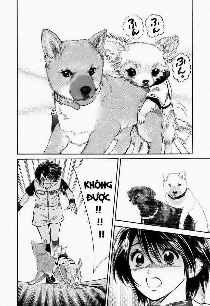 Cô Nàng Yêu Chó Chapter 35 trang 17