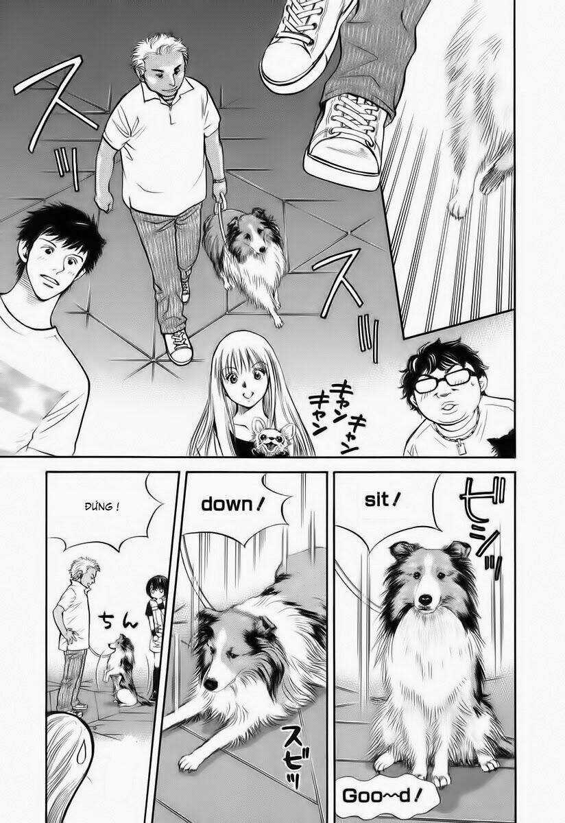 Cô Nàng Yêu Chó Chapter 35 trang 6