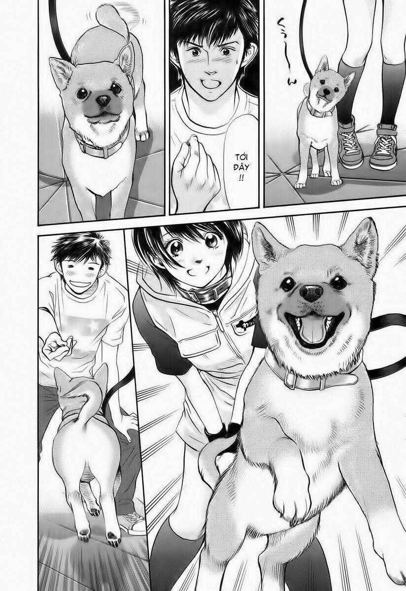 Cô Nàng Yêu Chó Chapter 36 trang 11