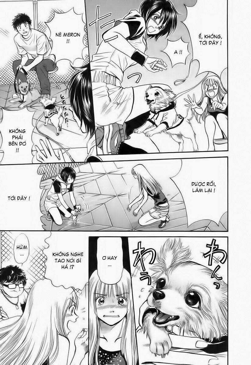 Cô Nàng Yêu Chó Chapter 36 trang 16