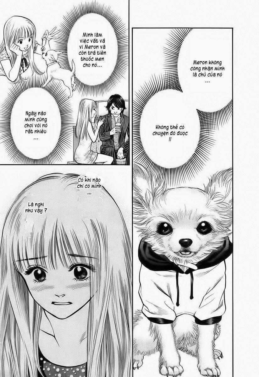 Cô Nàng Yêu Chó Chapter 37 trang 0