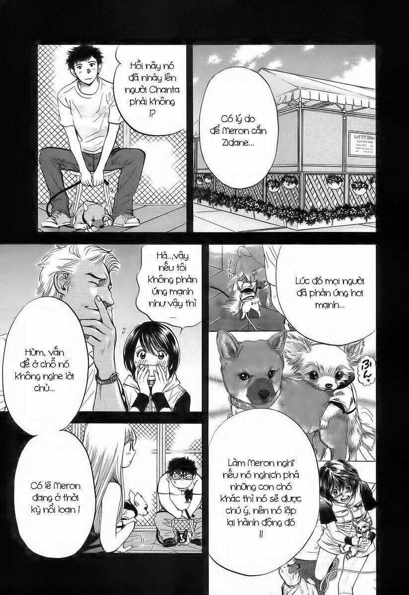 Cô Nàng Yêu Chó Chapter 37 trang 12