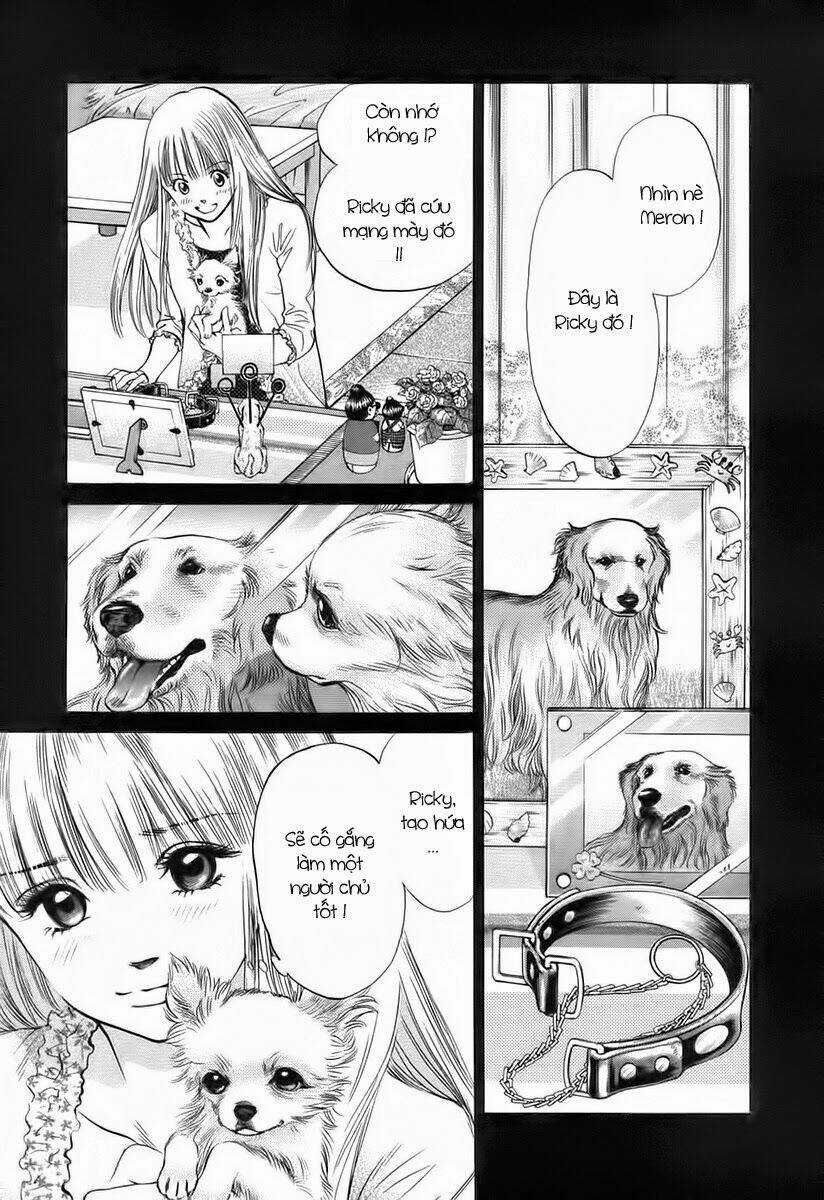 Cô Nàng Yêu Chó Chapter 37 trang 2