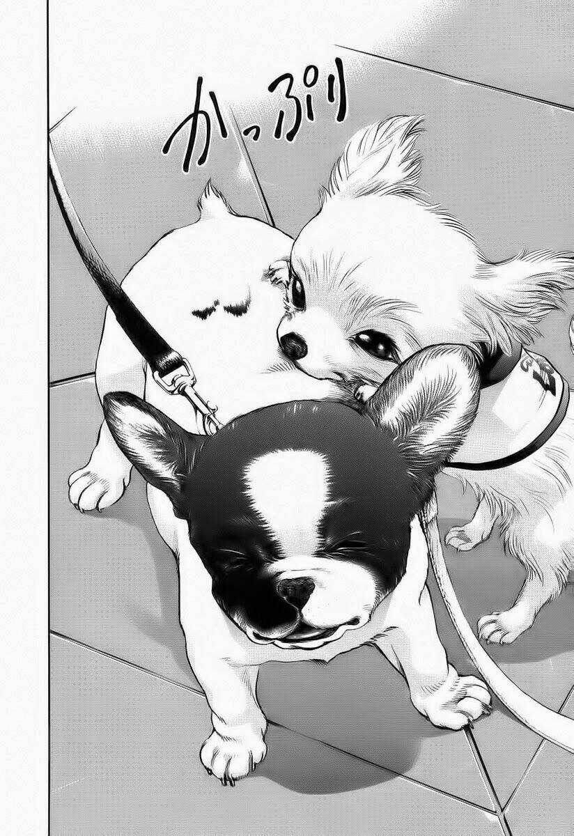 Cô Nàng Yêu Chó Chapter 37 trang 9