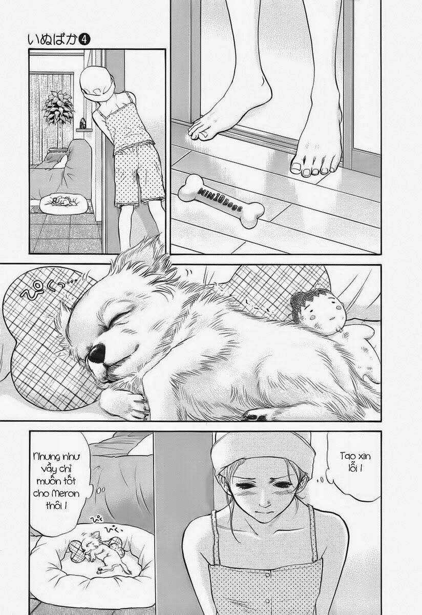 Cô Nàng Yêu Chó Chapter 38 trang 10
