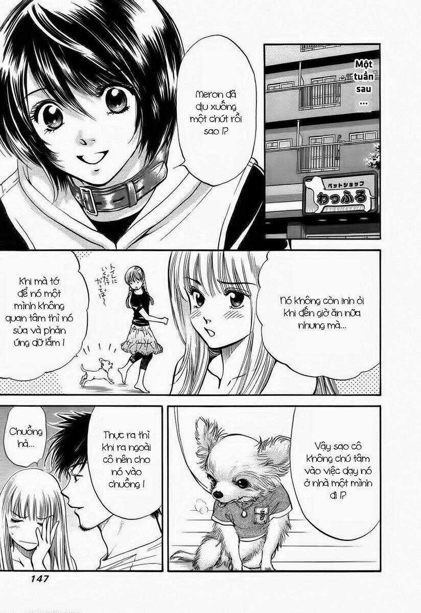 Cô Nàng Yêu Chó Chapter 38 trang 12